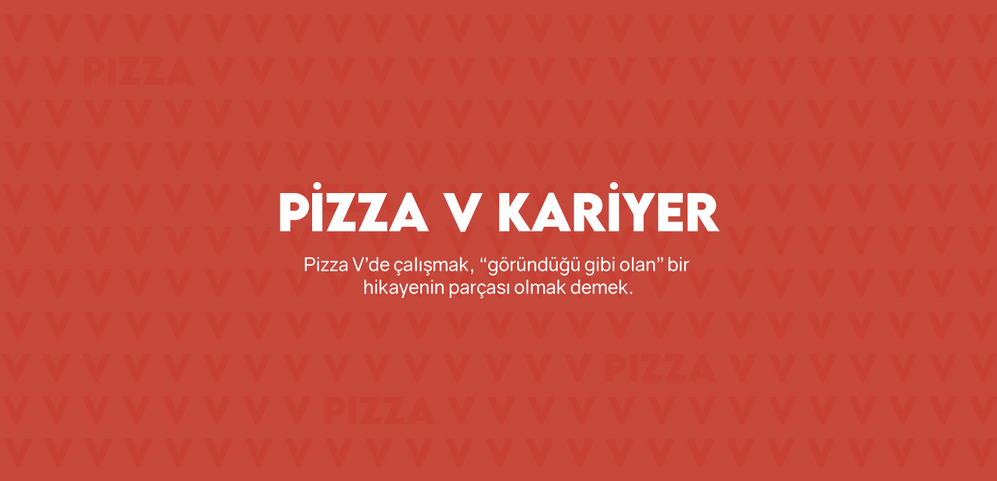 v-web-kariyer